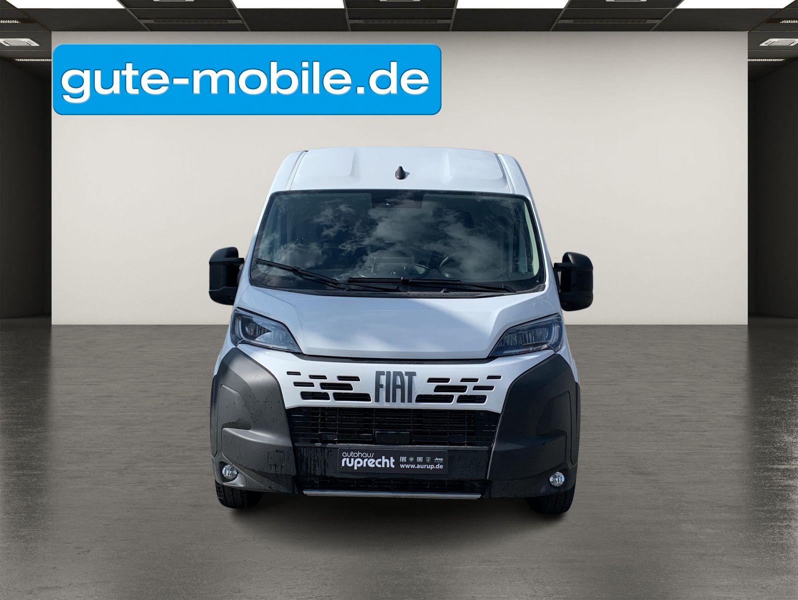 Fahrzeugabbildung Fiat Ducato 35 L3H2| Schiebetür| Bluetooth