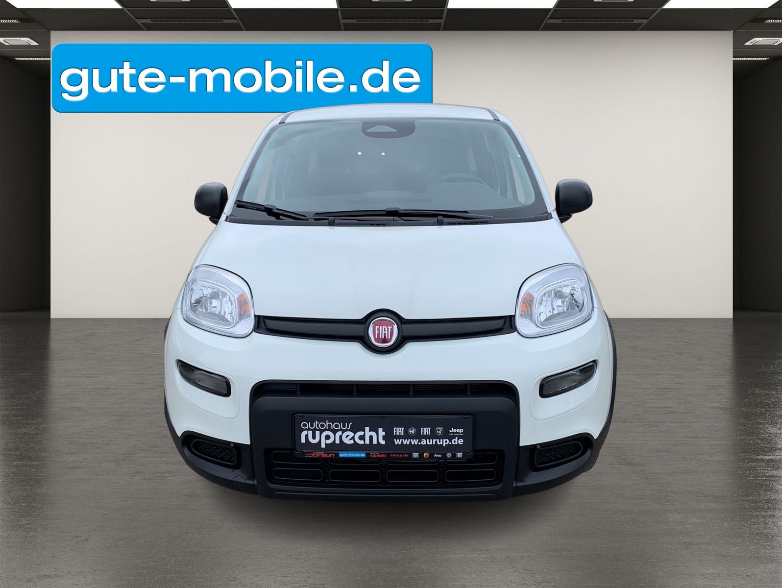 Fahrzeugabbildung Fiat Panda Pandina Hybrid 1.0 GSECity-Paket|PDC|KLIMA