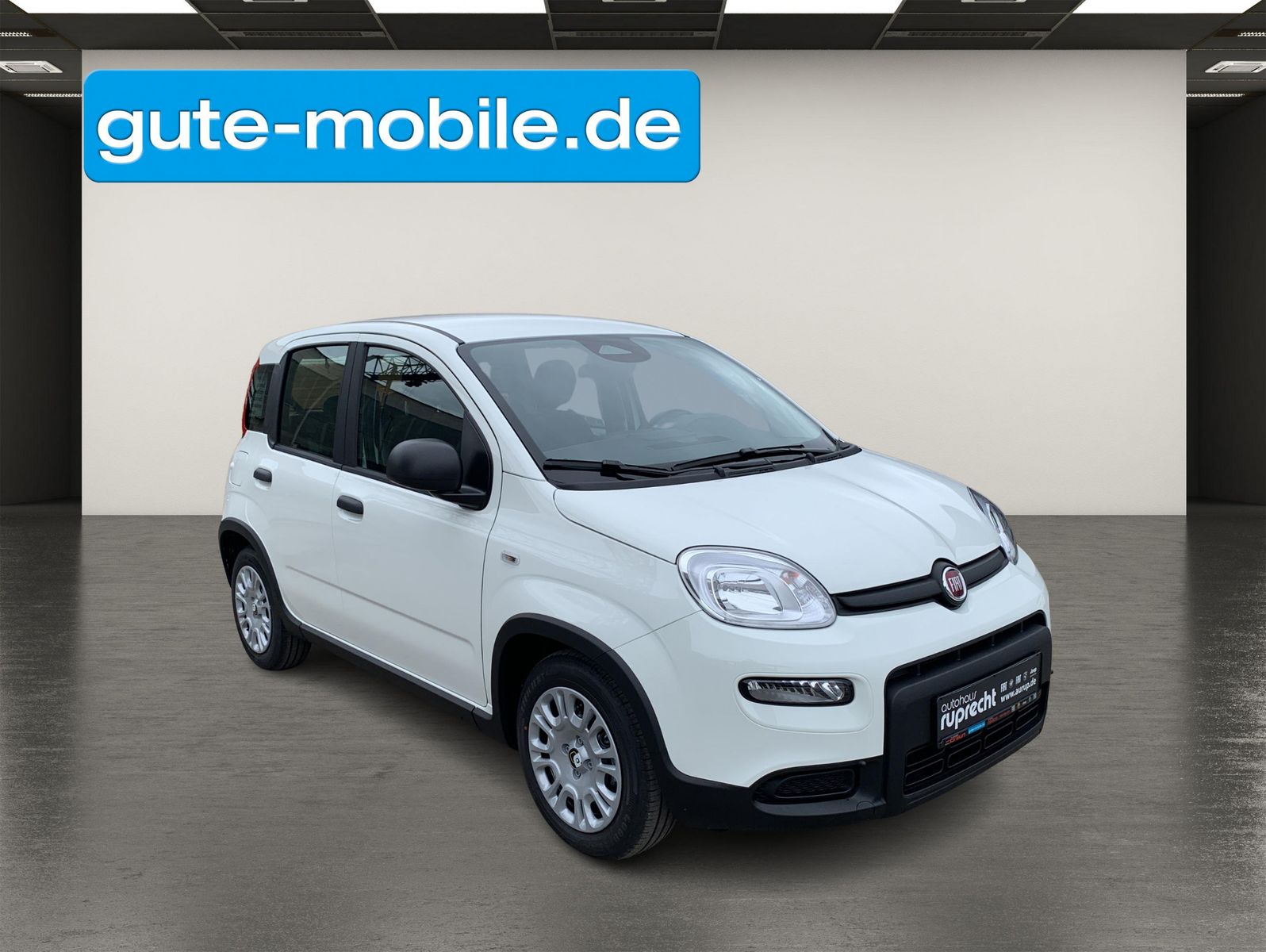 Fahrzeugabbildung Fiat Panda Pandina Hybrid 1.0 GSECity-Paket|PDC|KLIMA