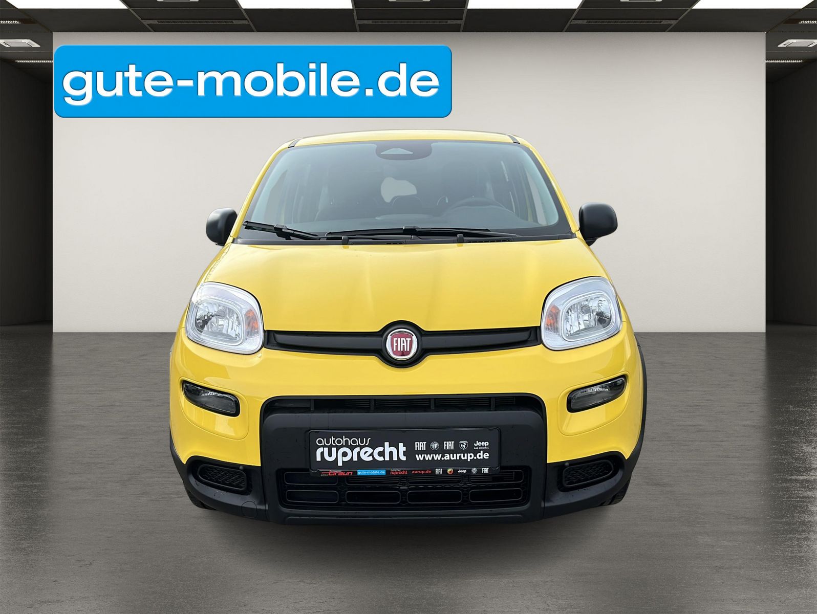 Fahrzeugabbildung Fiat Panda Pandina Hybrid 1.0 GSE City-Paket|PDC|KLIM