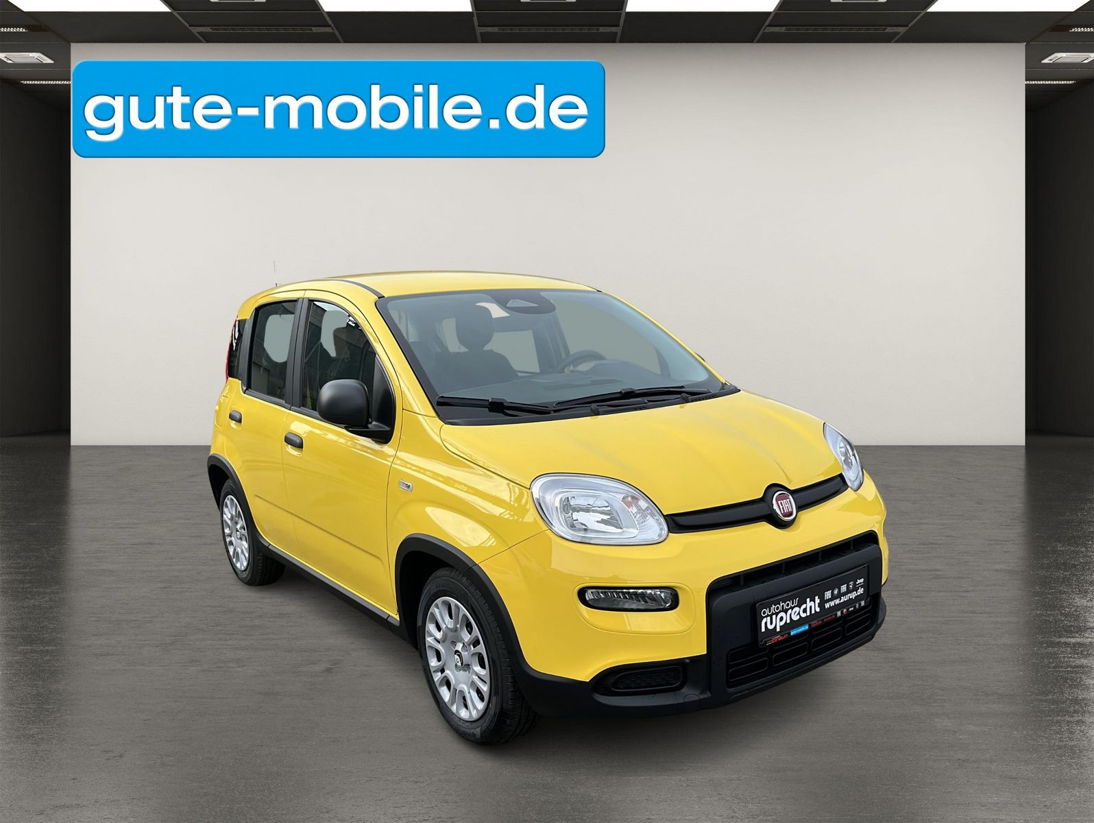 Fahrzeugabbildung Fiat Panda Pandina Hybrid 1.0 GSE City-Paket|PDC|KLIM