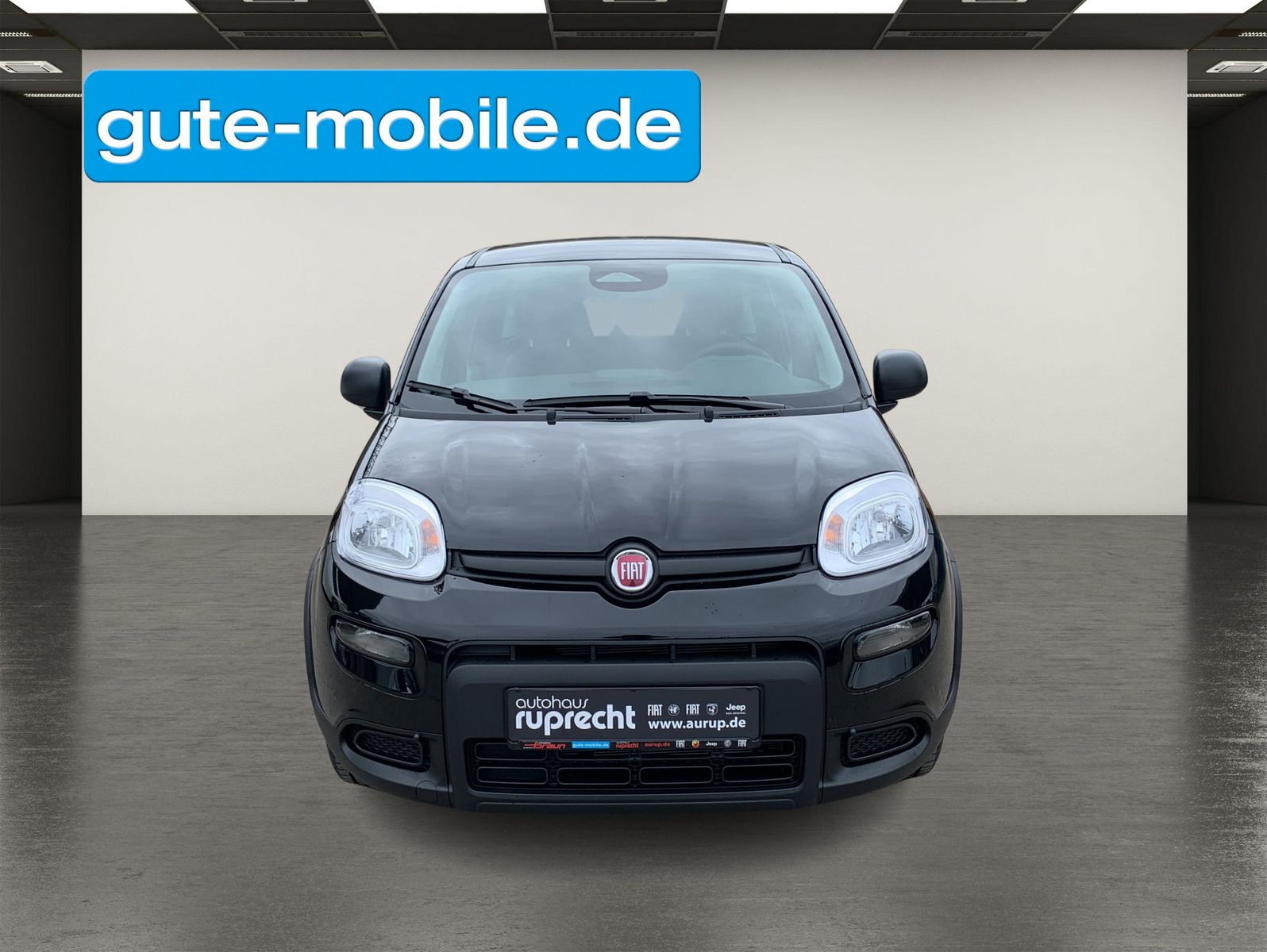 Fahrzeugabbildung Fiat Panda Pandina Hybrid City-Paket|PDC|KLIMA