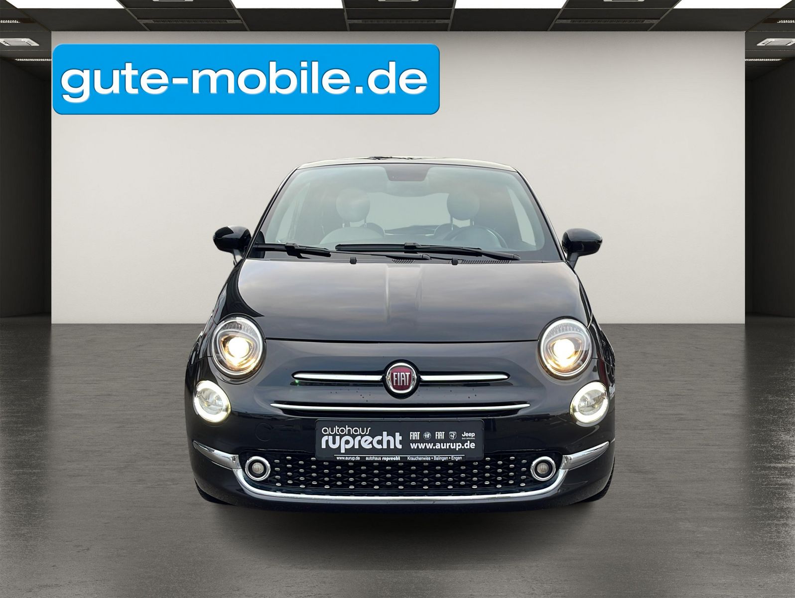 Fahrzeugabbildung Fiat 500 1.0 GSE Hybrid DOLCEVITA 51kW (70PS)